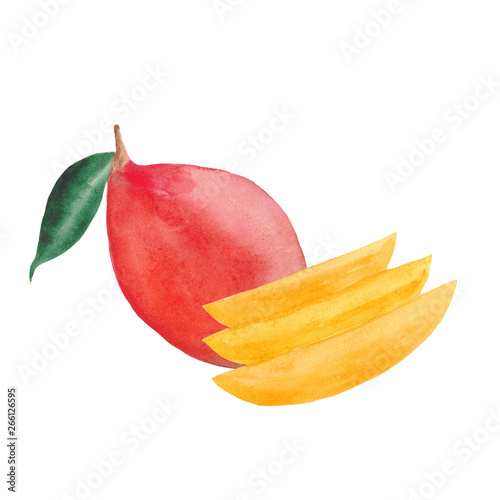 watercolor set with mango, mango slices and leaves 