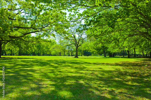 Green park