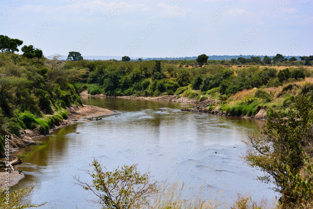 Green leafy river in Kenya