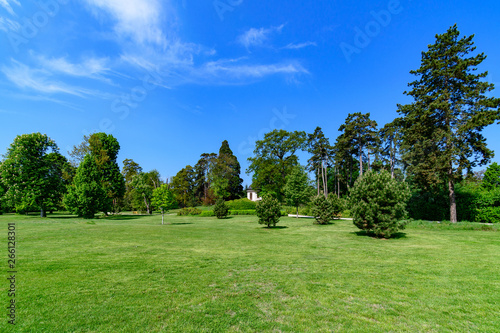 ogród z zielonym trawnikiem i drzewami photo