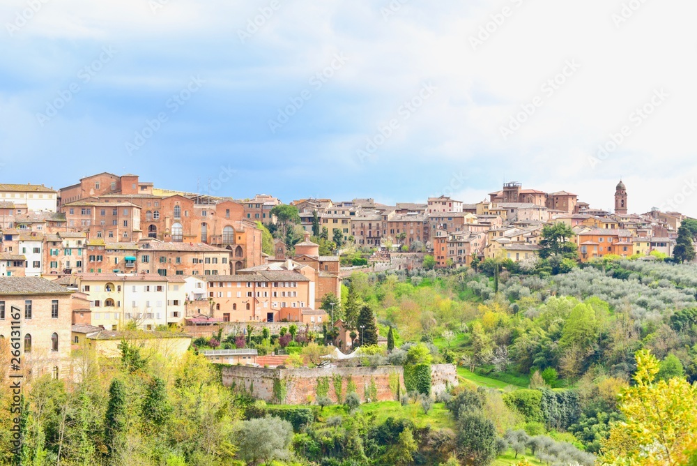 Panoramic View of the Medieval Town of Siena in Tuscany, Italy