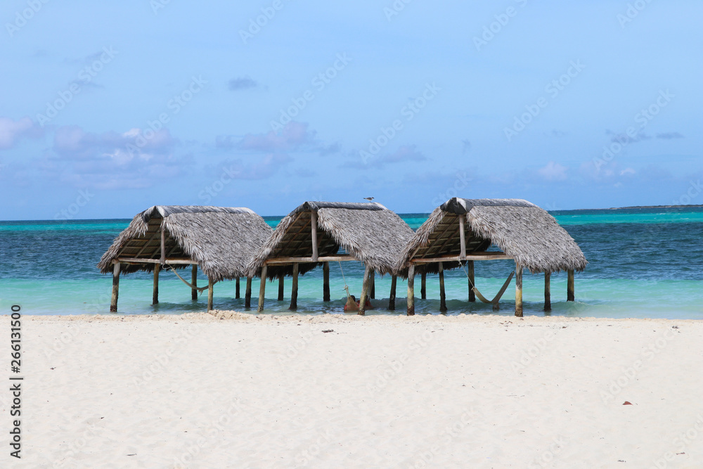 Thatched roof huts on paradise beach