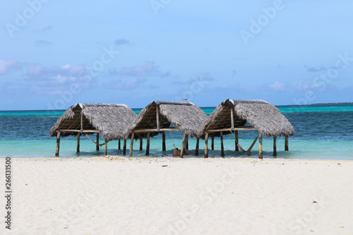 Thatched roof huts on paradise beach