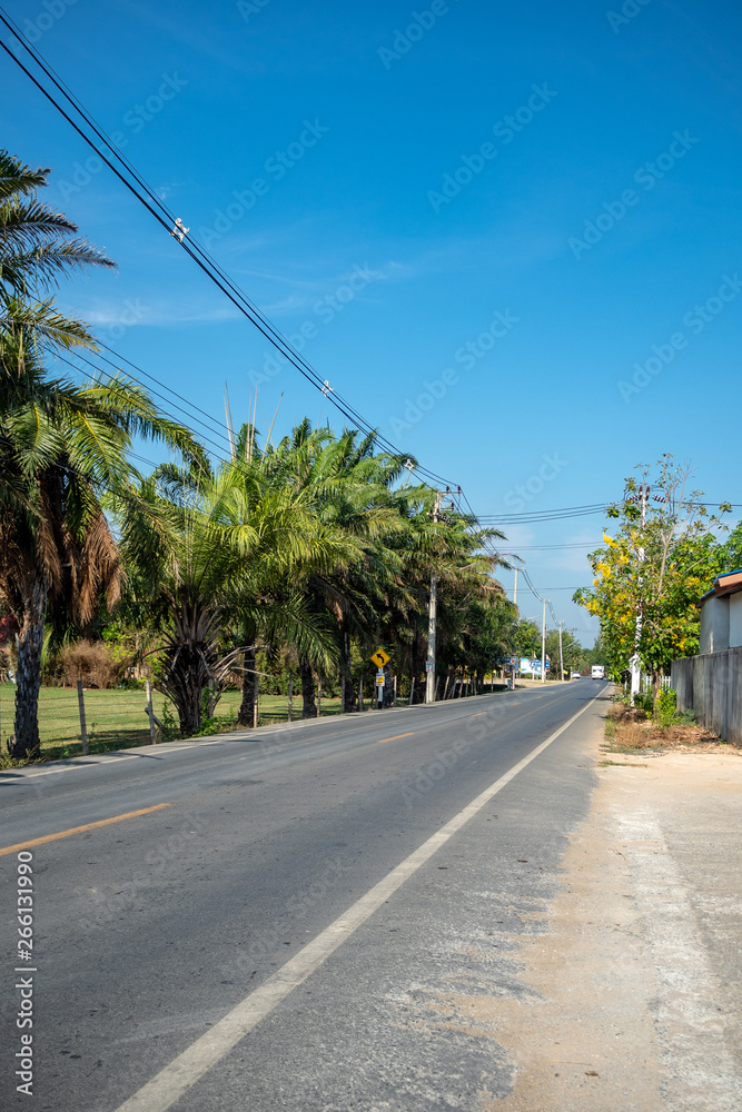 Empty rural road with fresh green trees on clear blue sky background