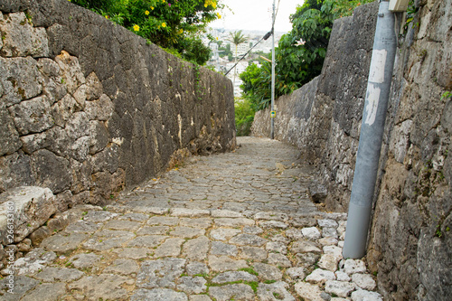 Konstfotografi Stone Paved Path in Okinawa