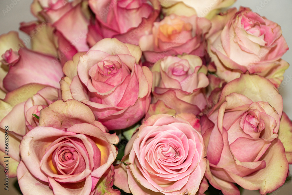 flora, flowers, bouquet, pink, roses, buds, petals, tenderness, beauty flora, flowers, bouquet, pink, roses, buds, petals, tenderness, beauty