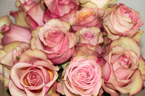 flora  flowers  bouquet  pink  roses  buds  petals  tenderness  beauty