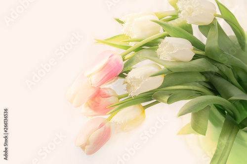 Fototapeta Naklejka Na Ścianę i Meble -  bright bouquet of red with white tulips for congratulations