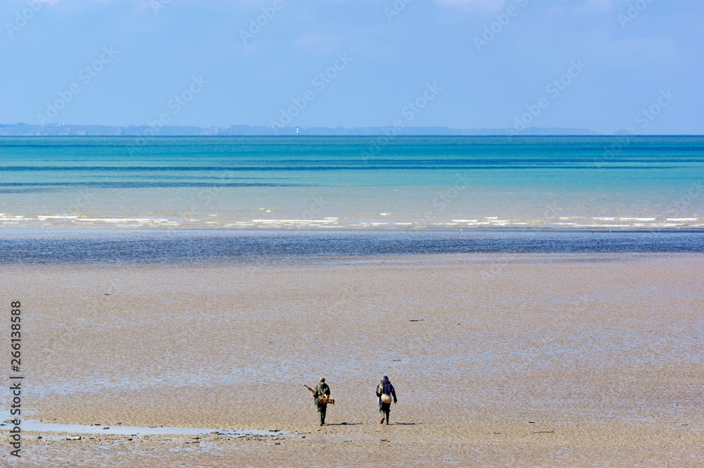  Fishing on foot in Cotentin coast