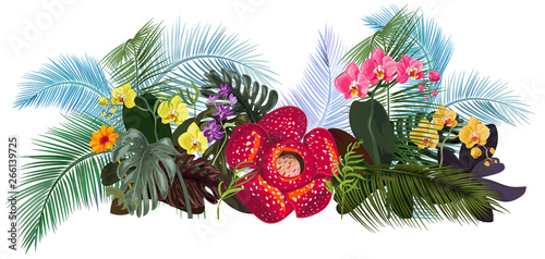 Panoramic view with tropical plants: Rafflesia arnoldii, Dendrobium, red, yellow Phalaenopsis orchid flowers, gerbera, monstera, coconut palm leaves. Illustration in watercolor style, vintage, vector photo