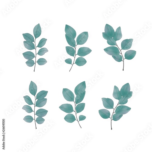 Set of green leaves watercolor drawing, illustration isolated on white background