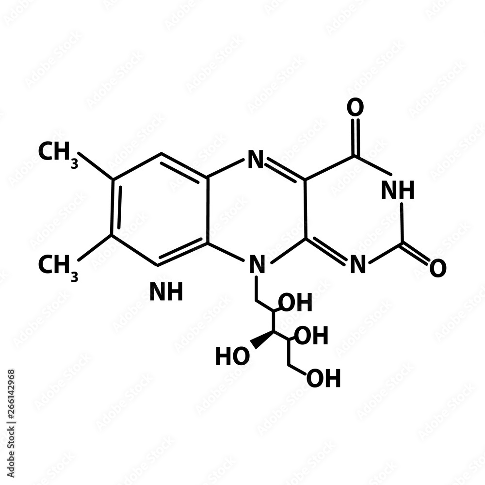 Vitamin B2. riboflavin Molecular chemical formula. Infographics. Vector illustration on isolated background.