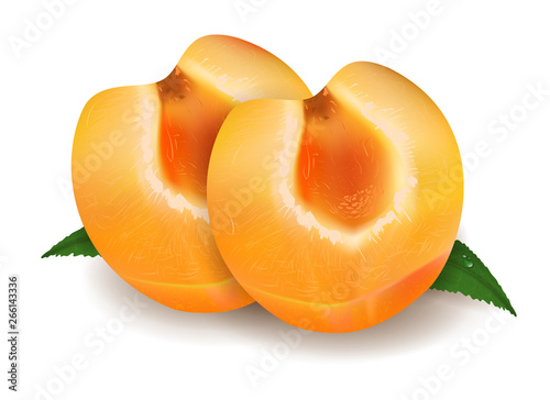 Realistic the two halves of the apricot with green leaf and drops. Ripe juicy fruit 3d illustration high detail isolated on white background. Vector