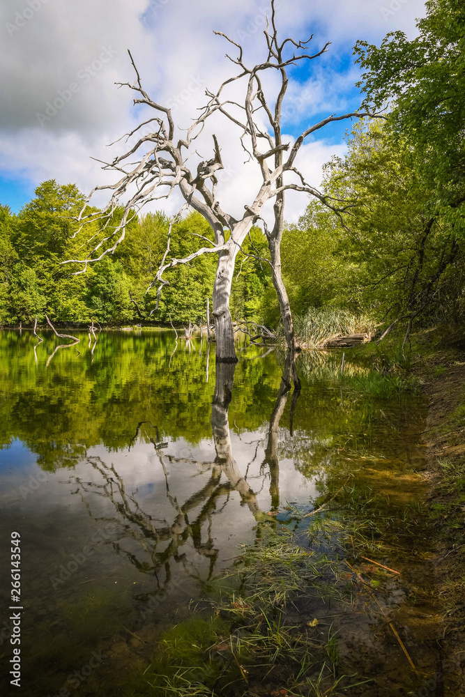 Small lake in the mountains without people in Basque Country Small lake in the mountains without people in Basque Country