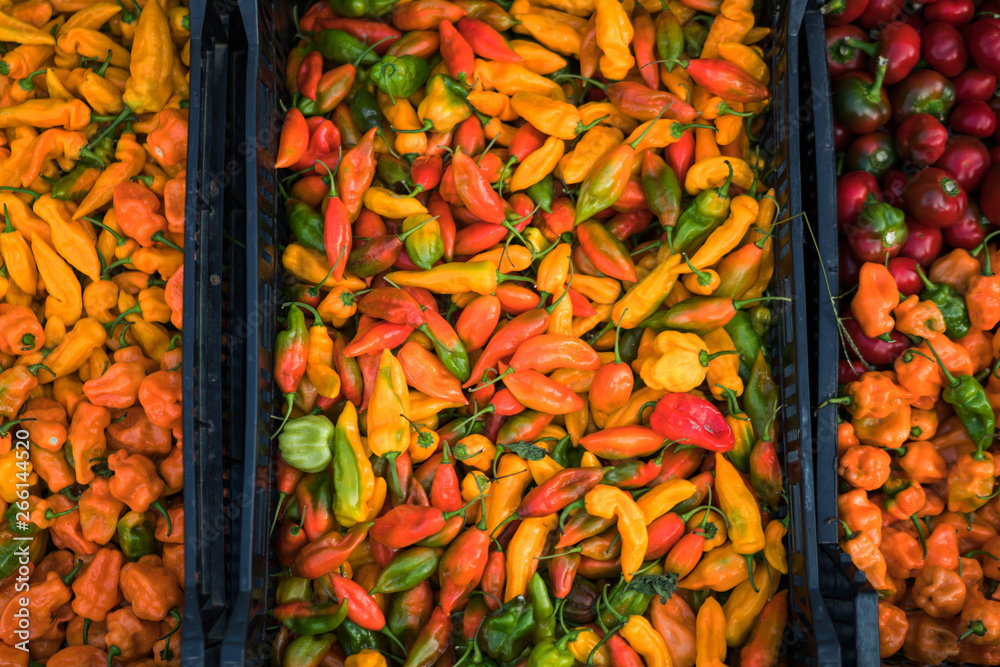 Farmer's market California, USA. Concept of fresh organic food market. Chilli for sale in market. Colorful chili peppers on display at a farmers shop. Organic vegetable. Bio and eco food.