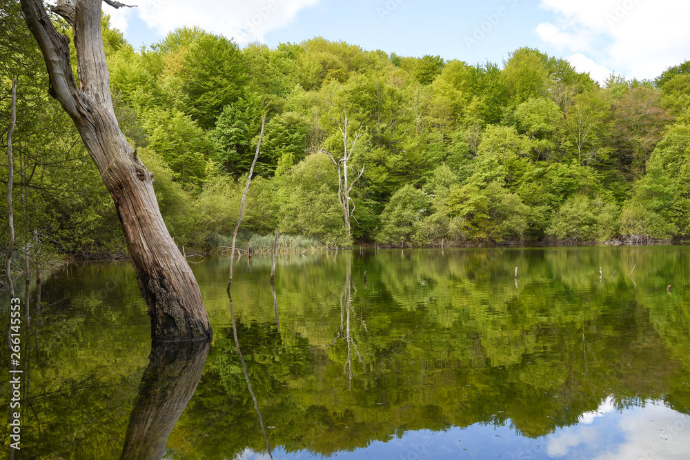 Small lake in the mountains without people in Basque Country Small lake in the mountains without people in Basque Country