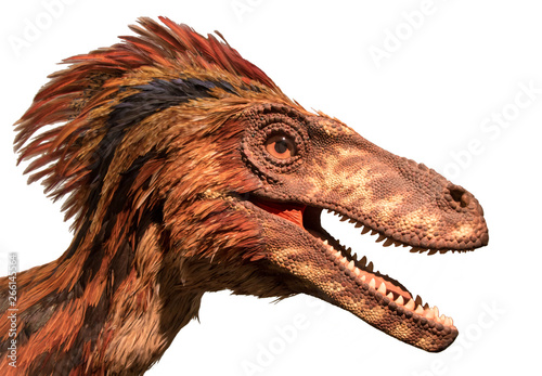 Portrait of Deinonychus antirrhopus. Head of dinosaur with open mouth isolated on a white background.