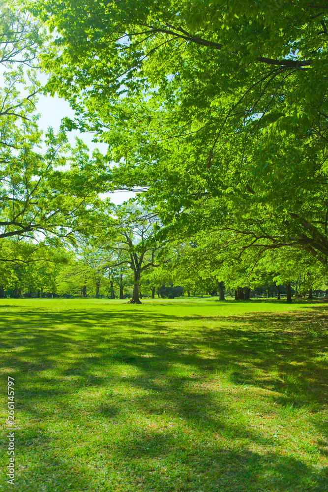 Green park