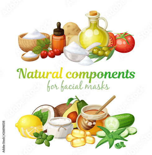 Natural components together illustration. Facial mask ingredients for home face skin care