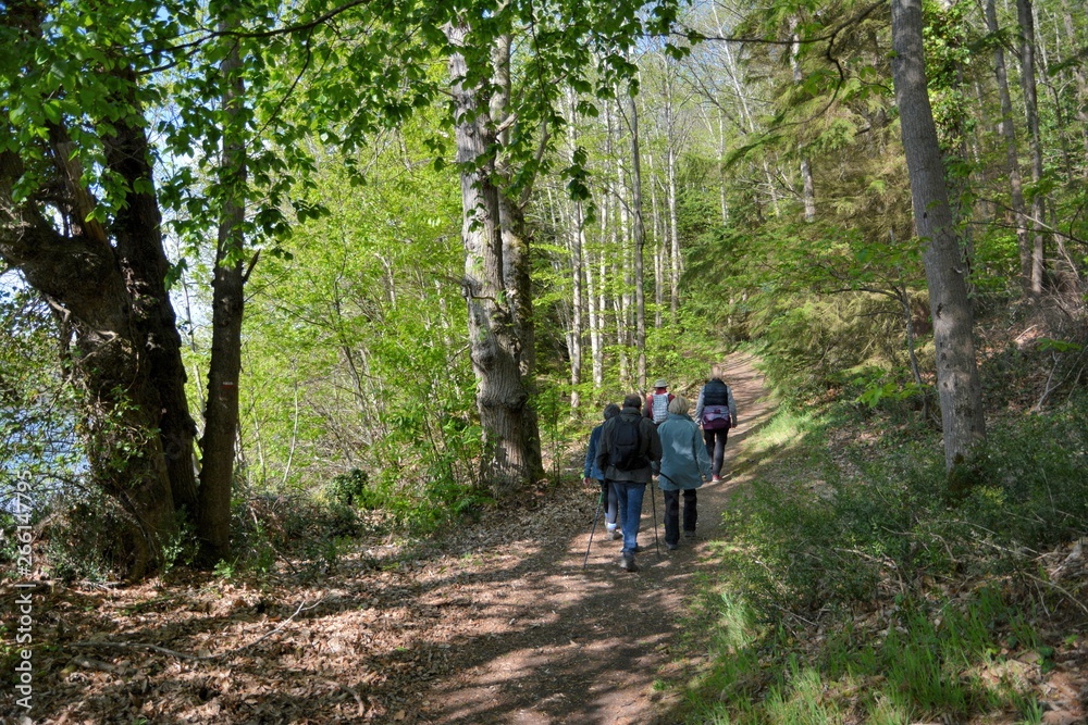 Naklejka premium Groupe de randonneurs en Bretagne