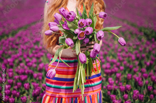 Beautiful young woman with long red hair wearing a striped dress holding a bouquet of purple tulips flowers on background on purple tulip fields. Sping concept