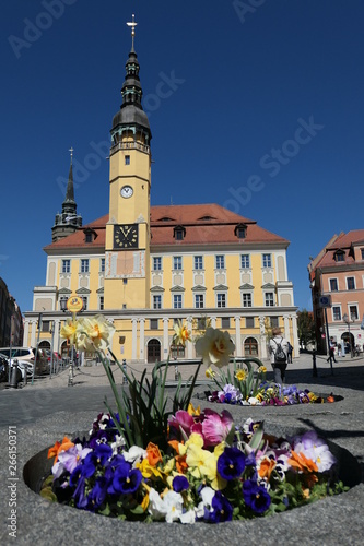 Rathaus Bautzen, Blumen, Frühling, Marktplatz