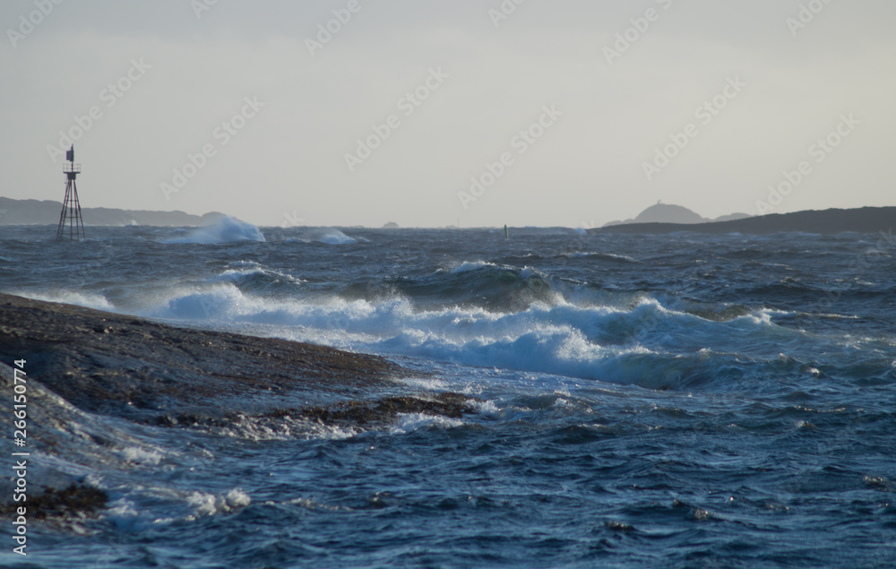 Waves in storm with rocks