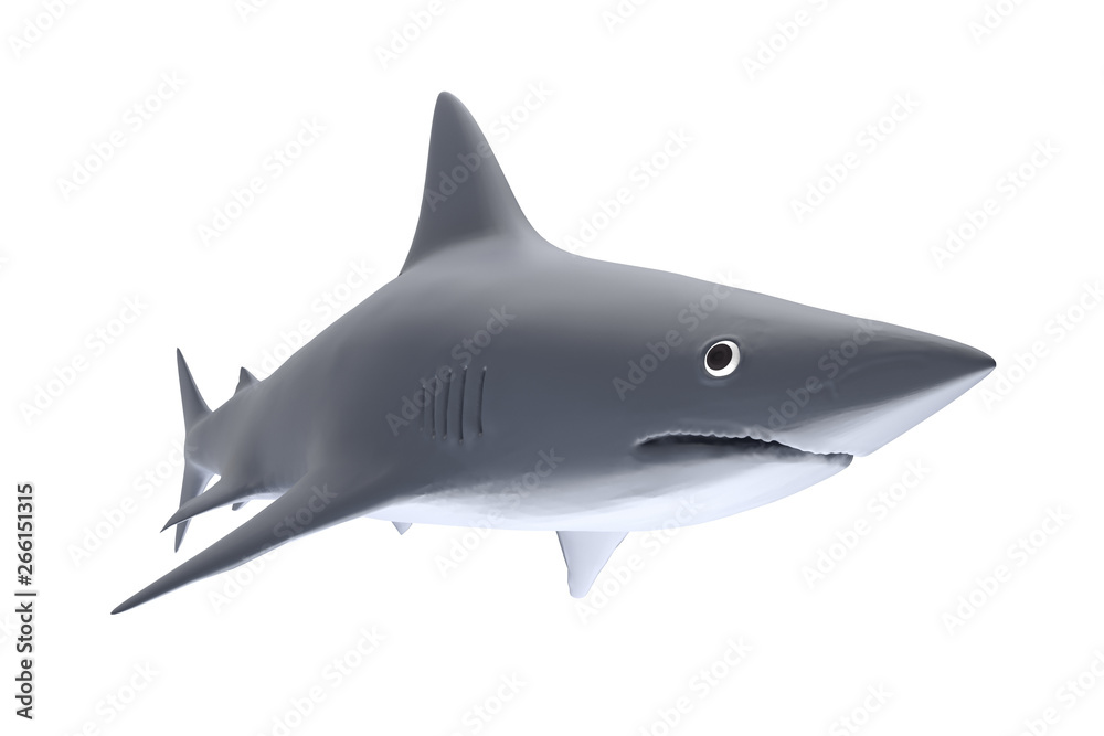 White shark in white background, 3d rendering