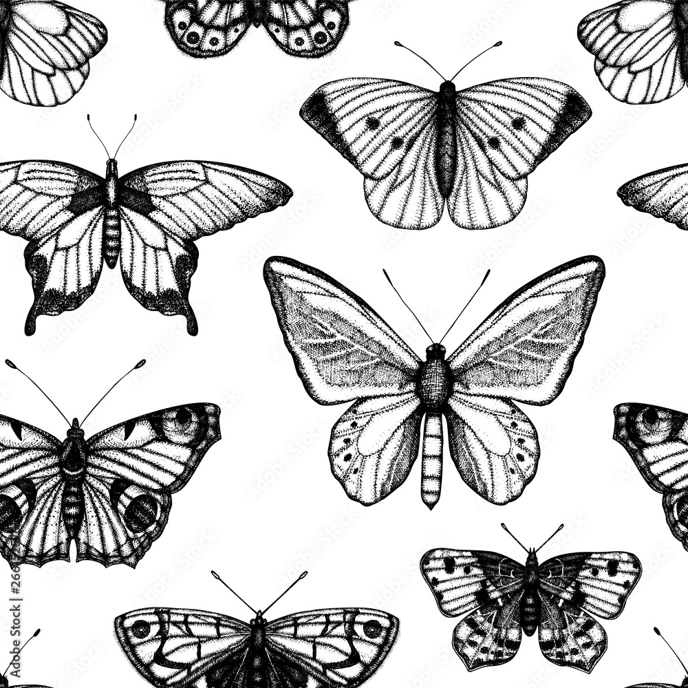 Naklejka Wektorowy bezszwowy wzór ręka rysujący czarny i biały motyle. Grawerowanie retro ilustracji. Powtarzające się tło z realistycznym owadem. Szczegółowy rysunek graficzny w stylu vintage