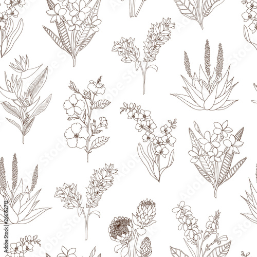 Vector seamless pattern of tropical flowers isolated on white background. Hand drawn floral background. Sketch style tropic design elements