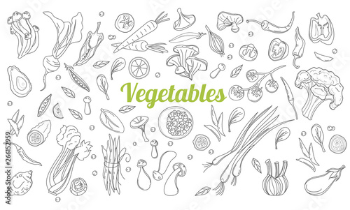 Linear graphic. Vegetables background. Scandinavian style. Healthy food. Vector illustration. Hand drawn fruits and vegetables doodle set.