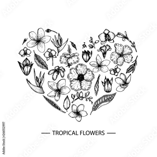 Vector tropical flowers set in a heart shape. Graphic hand drown floral illustration. Hand drawn plumeria,  canna, aloe, bougainvillea, hibiscus, protea, strelitzia isolated on white background.