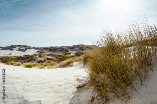 White sand coastal dunes with marram grass