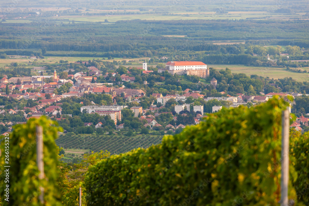 vineyards, Siklos castle, Hungary