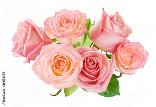 pink roses bunch isolated on white background