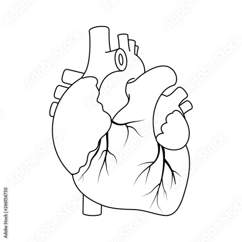 Black outline real heart