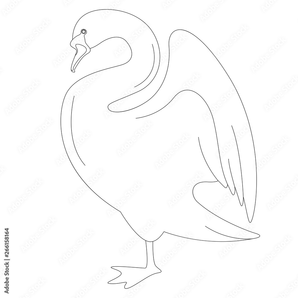 swan bird, vector illustration, lining draw , profile swan bird, vector illustration, lining draw , profile