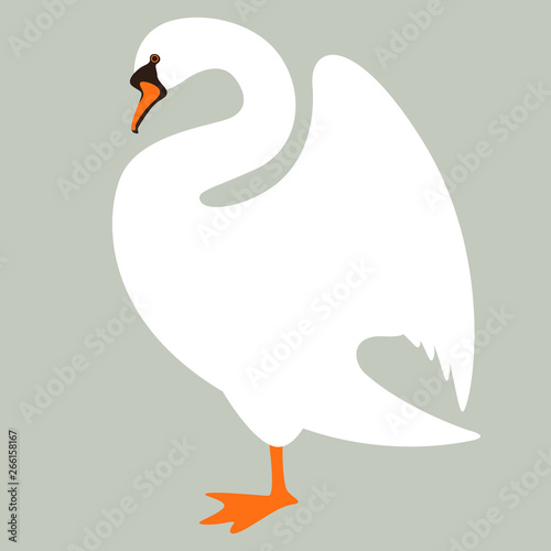 swan bird, vector illustration, flat style , profile