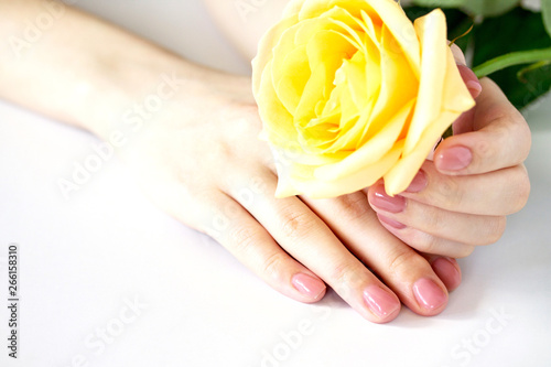 Beautiful manicured woman s nails with pink polish isolated. Nails care. Manicure  pedicure beauty salon. Beautiful rose yellow blossoms. Free space for your text.