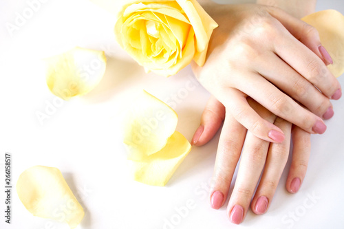 Beautiful manicured woman s nails with pink polish isolated. Nails care. Manicure  pedicure beauty salon. Beautiful rose yellow blossoms.