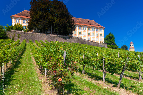 Castle Stainz and vineyard, Styria, Austria