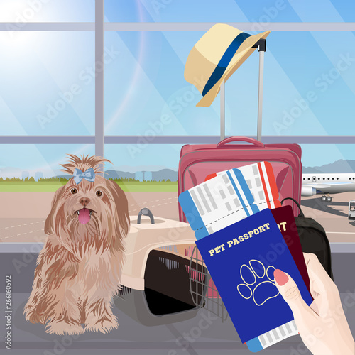 Airport waiting room, dog in the foreground. Terminal interior, panoramic window, airplane. Time to travel. Travel concept, vector illustration.