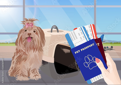 Airport waiting room, dog in the foreground. Terminal interior, panoramic window, airplane. Time to travel. Travel concept, vector illustration.