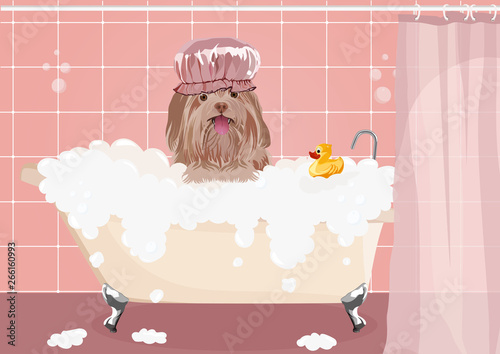 Cute dog taking a bath full of soap foam. Dog wash. Yellow rubber duck in bathtub. Grooming concept. Pink background.