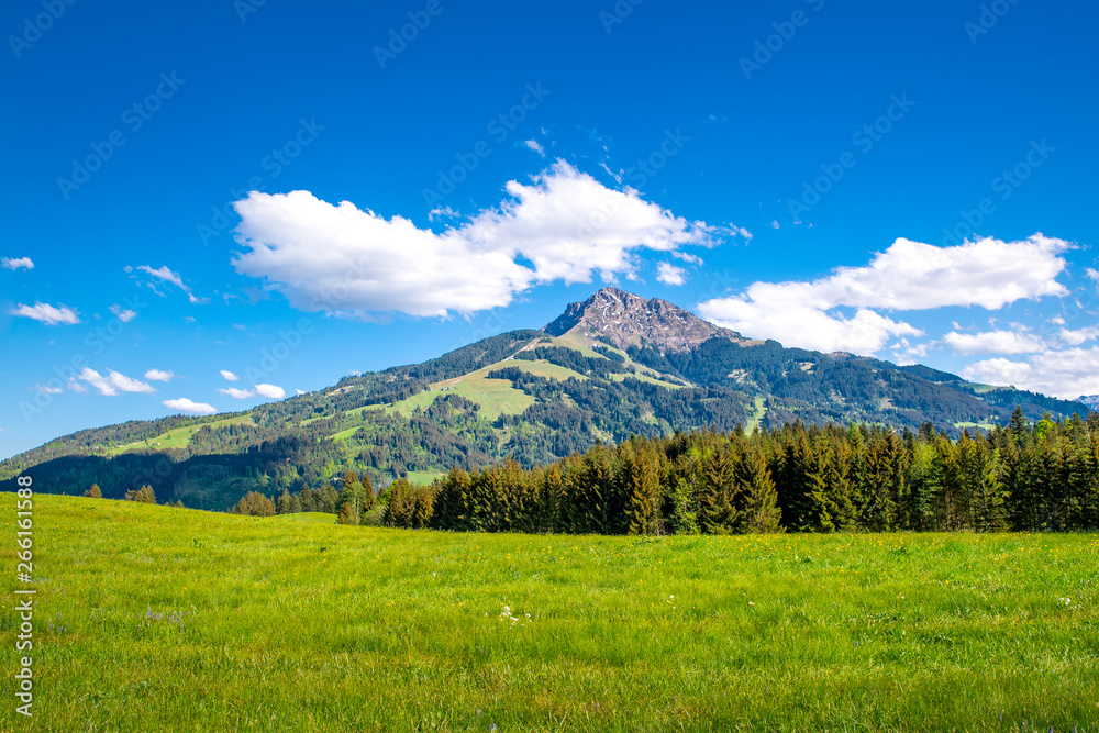 Kitzbüheler Horn in Summer, Kitzbühel, Tyrol, Austria Kitzbüheler Horn in Summer, Kitzbühel, Tyrol, Austria