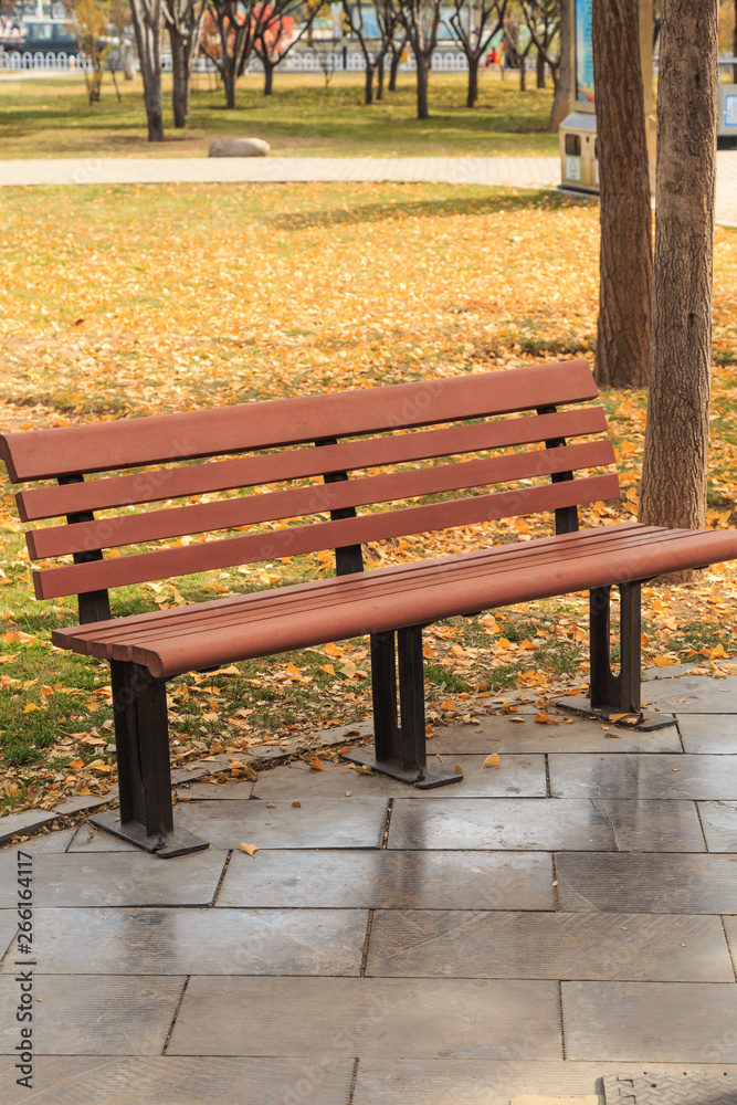 In the fall, park benches