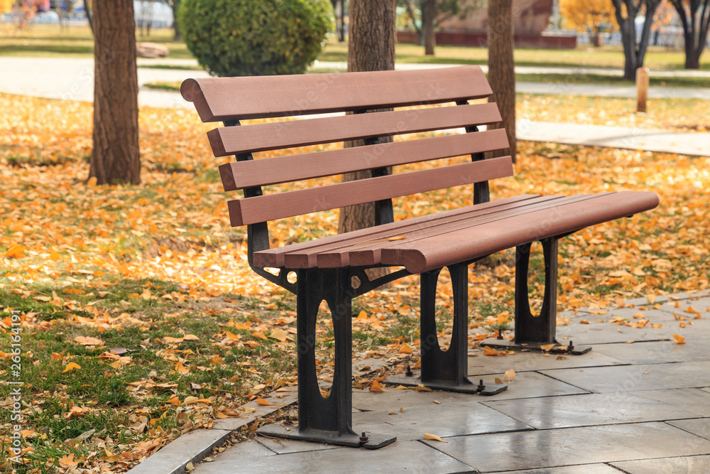 In the fall, park benches