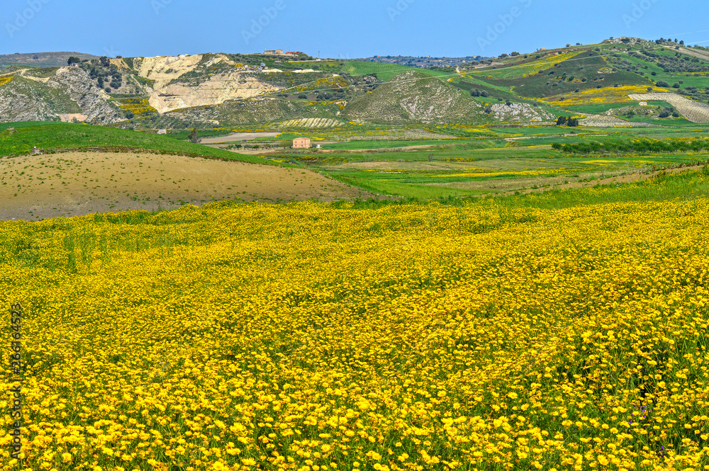Beautiful Spring Landscape, Mazzarino, Caltanissetta, Sicily, Italy, Europe