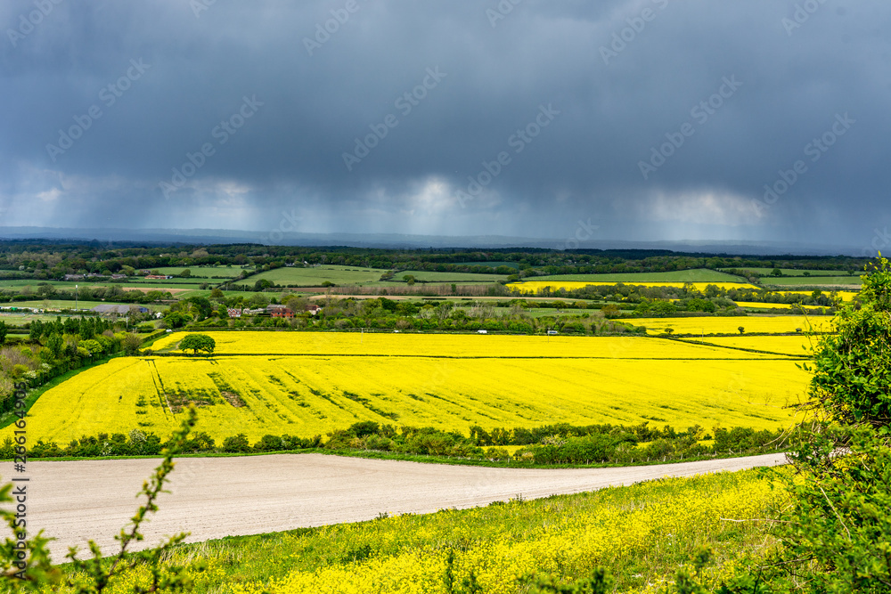 Sunshine and showers over Weald farmland