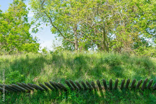 Defensive poles,aka fraise, sticking out from a military earthwork designed to slow attackers momentum and prevent surprise attack.